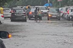 Godhra Rain: ગોધરા શહેરમાં ભારે પવન સાથે તૂટી પડ્યો વરસાદ, અનેક જગ્યાએ ભરાયા પાણી