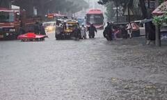 Surat Rain Photos: ખાડી પૂરના પાણી લોકોના ઘરોમાં ઘૂસ્યા, રૉડ-રસ્તા પર પણ કેડ સમા પાણી ભરાયા, જુઓ ભયાનક દ્રશ્યો