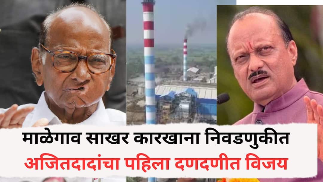 Malegaon Sugar Factory election from B class group Out of 101 valid votes 91 votes received DCM Ajit Pawar wins from B class group Malegaon Karkhana Election: माळेगाव साखर कारखाना निवडणुकीत अजितदादांचा पहिला दणदणीत विजय;101 मतांपैकी 'इतकी' मतं मिळाली