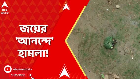 বিপুল ভোটে তৃণমূলের জয়, তাও বোমাবাজি! একের পর এক বাড়ি ক্ষতিগ্রস্ত