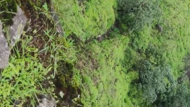 तेव्हाच या दोघांचे मृतदेह दरीत आढळले. या दोघांनी आत्महत्या केली असावी असा प्रथमदर्शनी अंदाज आहे. मात्र पोलीस सर्व बाबी पडताळण्याचे काम करत आहे.