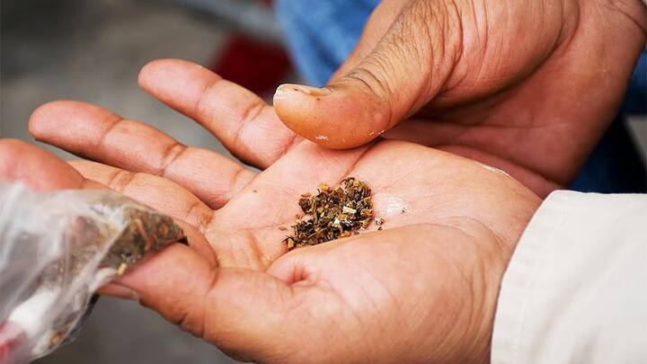 रिपोर्ट्स की मानें तो चीन में करीब 30 करोड़ लोग स्मोकिंग करते हैं. चीन में आधे से ज्यादा युवा तंबाकू-सिगरेट खाते-पीते हैं.