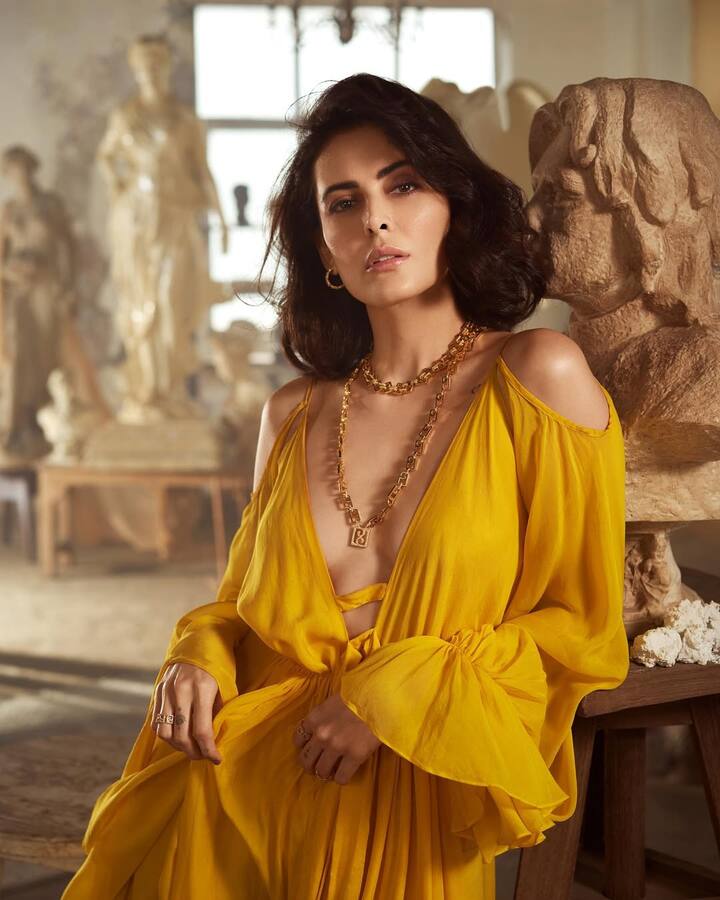 मंदाना ने 2017 में 25 फरवरी को बॉयफ्रेंड गौरव गुप्ता संग कोर्ट मैरिज की थी.उसके बाद कपल ने हिंदू रीति-रिवाज से शादी की.