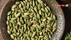 ‘मसालों की रानी’ छोटी इलायची, स्वाद के साथ सेहत का खजाना