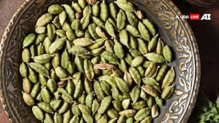 ‘मसालों की रानी’ छोटी इलायची, स्वाद के साथ सेहत का खजाना