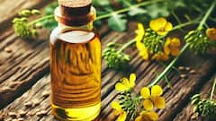 Mustard Oil Benefits: বর্ষায় থাকুন সুস্থ, এভাবে স্বাস্থ্যের খেয়াল রাখবে সর্ষের তেল