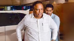 मंत्री आशीष शेलार का बड़ा बयान- 'महाराष्ट्र में केवल मराठी अनिवार्य, हिंदी नहीं'