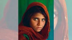 Sharbat Gula: ভয় ধরানো চাহনিই পরিচয়, তাঁর ছবি বেচে কোটিপতি অন্যরা, অন্ধকার গ্রাস করে আফগান-কন্যা শরবত গুলাকে