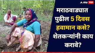 मराठवाड्यात वादळी वाऱ्यासह पावसाची शक्यता, पुढील 5 दिवस शेतकऱ्यांसाठी महत्त्वाचे, कृषी विद्यापिठाची शिफारस काय? वाचा..