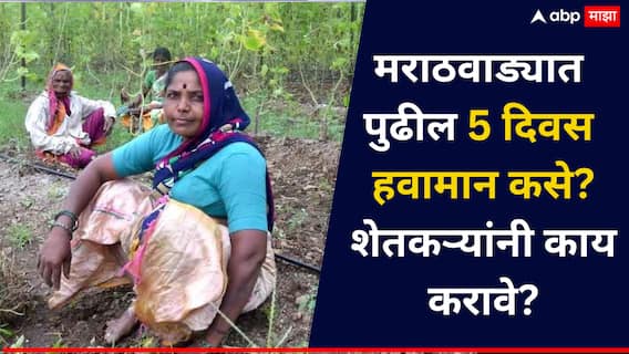 मराठवाड्यात वादळी वाऱ्यासह पावसाची शक्यता, पुढील 5 दिवस शेतकऱ्यांसाठी महत्त्वाचे, कृषी विद्यापिठाची शिफारस काय? वाचा..