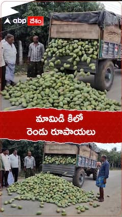 మామిడి కిలో రెండు రూపాయాలు