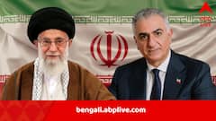 আয়াতোল্লা খামেনেইয়ের পতন অবশ্যম্ভাবী? ফিরবে শাহি-শাসন? আমেরিকা-ইজরায়েলের সমর্থন পেতে মরিয়া যুবরাজ রেজা