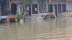 સુરતના પલસાણામાં ખાડીપૂરથી તારાજી, 300થી વધુ ઘરોમાં 3થી 4 ફૂટ સુધીના પાણી ભરાયા