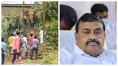 மனிதர்களை யானைகள் உள்ளிட்ட வன விலங்குகள் தாக்குவது வழக்கம்தான் - அமைச்சர் ராஜகண்ணப்பன்