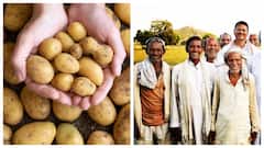 விரைவில் சர்வதேச உருளைக்கிழங்கு மையம்.. விவசாயிகளுக்கு ஹேப்பி நியூஸ்