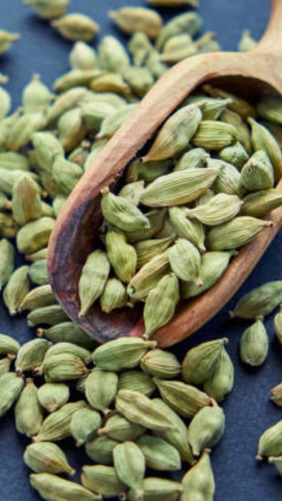 घर में कैसे उगा सकते हैं इलायची?