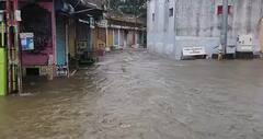 Gujarat Rain Photos: ગુજરાતમાં સાર્વત્રિક વરસાદ પડતા ઠેર-ઠેર ભરાયા કેડ સમા પાણી, નર્મદાના નાંદોદમાં 8 ઇંચ ખાબક્યો