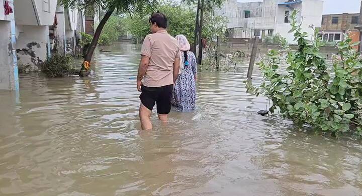 દક્ષિણ ગુજરાત અને દક્ષિણ ગુજરાત, સૌરાષ્ટ્રના ભાગોમાં ભારેથી અતિભારે વરસાદની શક્યતા સેવાઈ રહી છે. નીચાણવાળા વિસ્તારોમાં જળબંબાકારની સ્થિતિ સર્જાઈ શકે છે.