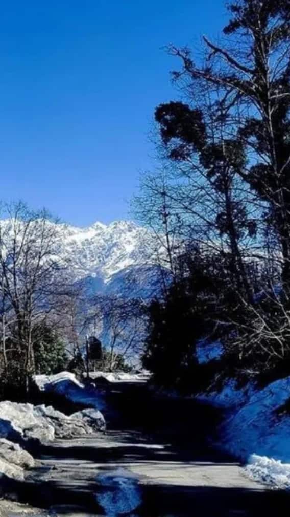 गर्मी में बर्फीली ठंडक का मजा चाहिए? मुनस्यारी से बेहतर कोई जगह नहीं!