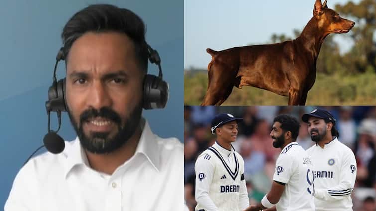 भारत की बल्लेबाजी की तरह ‘डबुरमन डॉग’ … ‘,’ डाइनह कार्तिक ने भारत की टीम का मजाक क्यों उड़ाया? वीडियो