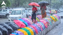 ৯ জেলায় বুধবার ভারী বৃষ্টির পূর্বাভাস, কী বলছে আবহাওয়া দফতরের পূর্বাভাস?