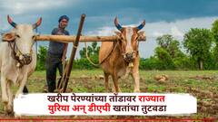 मोठी बातमी! खरीप पेरण्यांच्या तोंडावर राज्यात युरिया अन् डीएपी खतांचा तुटवडा, पेरण्यांपूर्वीच शेतकऱ्यांची दमछाक
