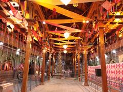 Ashadhi Wari 2025 : आषाढी सोहळ्याच्या पार्श्वभूमीवर भाविकांच्या स्वागतासाठी विठ्ठल मंदिराला आकर्षक विद्युत रोषणाई; पाहा PHOTO