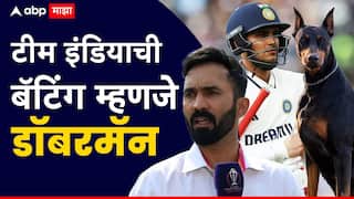 Dinesh Karthik Video : शुभमन गिलची युवा टीम टार्गेटवर, दिनेश कार्तिकने उडवली खिल्ली, म्हणाला 'टीम इंडियाची बँटिंग म्हणजे डॉबरमॅन कुत्र्यासारखी...'