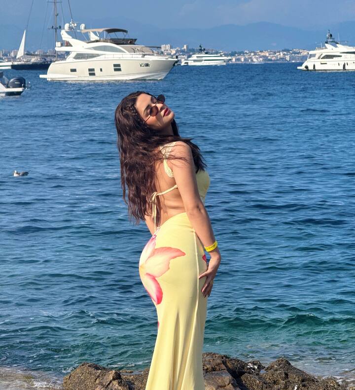 अवनीत कौरने 2018 मध्ये 'अलादीन - नाम तो सुना होगा' या मालिकेत सुल्ताना यास्मीनची भूमिका केली होती.