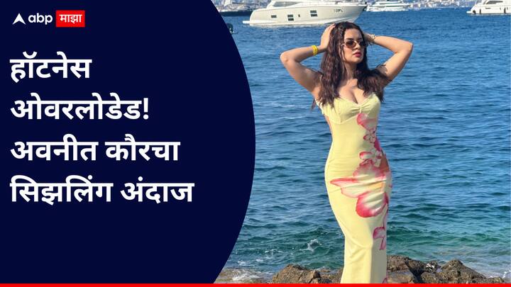 अवनीत कौरने 2018 मध्ये 'अलादीन - नाम तो सुना होगा' या मालिकेत सुल्ताना यास्मीनची भूमिका केली होती.