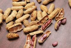 ਪ੍ਰੋਟੀਨ ਪਾਊਡਰ ਦੀ ਨਹੀਂ ਪਵੇਗੀ ਲੋੜ, ਘਰ 'ਚ ਇਦਾਂ ਬਣਾਓ ਚਾਰ ਚੀਜ਼ਾਂ ਦਾ ਸ਼ੇਕ