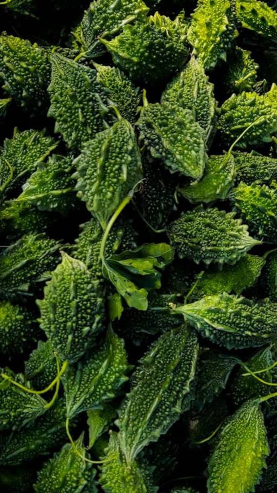 பாகற்காய் சாப்பிட்டால் இத்தனை நோய்கள் வராதா?