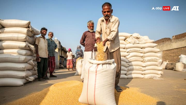 Ration Card Fraud Safety Tips: अगर कोई और आपके राशन कार्ड पर राशन ले रहा है. तो आप खुद इस बारे में पता कर सकते हैं. क्या होगी इसके लिए प्रक्रिया चलिए आपको बताते हैं.