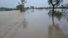 ઉપરવાસમાં ભારે વરસાદથી ડભોઈની ઢાઢર નદીમાં પૂર, મુખ્ય માર્ગો પર ફરી વળ્યા પાણી