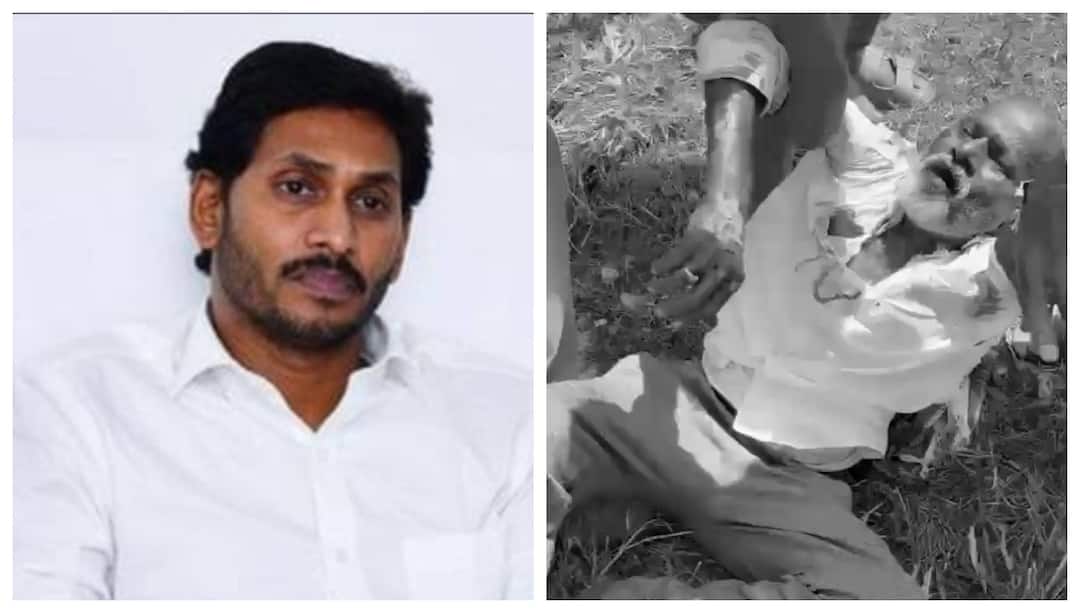 YS Jagan Mohan Reddy: సింగయ్య కేసులో హైకోర్టుకు వెళ్లిన జగన్ - క్వాష్ పిటిషన్పై రేపు విచారణ YSRCP chief Jagan Mohan Reddy files quash petition in High Court in Singaiah death case YS Jagan Mohan Reddy: సింగయ్య కేసులో హైకోర్టుకు వెళ్లిన జగన్ - క్వాష్ పిటిషన్పై రేపు విచారణ