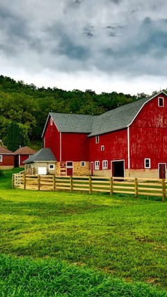 ఈ దేశానికే అప్పుల అప్పారావు బ్రాండ్అంబాసిడర్‌!