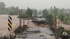 નાંદોદ તાલુકામાં આઠ ઈંચ વરસાદથી જળબંબાકાર, છેલ્લા 24 કલાકમાં રાજ્યમાં 142 તાલુકામાં વરસાદ