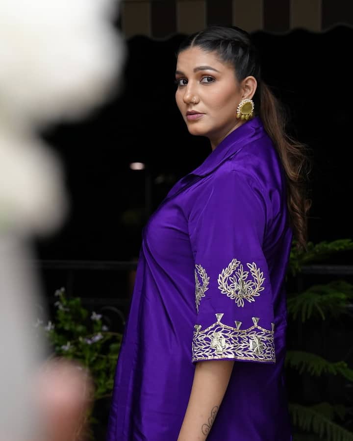 इसके अलावा वो एक बेहतरीन स्टेज डांसर हैं, वो टीवी के रिएलिटी शो बिग बॉस के सीजन 11 में भी नजर आ चुकी हैं.