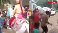 शादी में मचा बवाल: पटाखे से डरकर दूल्हे को लेकर भागी घोड़ी, बारातियों की हालत देख नहीं रुकेगी हंसी