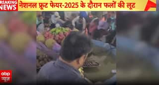 Breaking News: Chaos Erupts at Bangladesh’s National Fruit Fair as Crowd Loots Fruits  | ABP NEWS