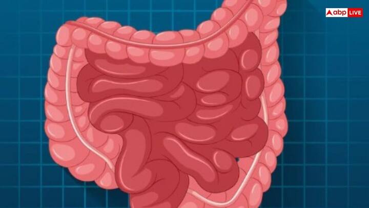 बच्चों के पेट में कीड़े उनकी सेहत को कमजोर बना सकते हैं. जानिए 6 असरदार घरेलू उपाय जो इस समस्या से दिला सकते हैं राहत.