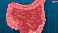 ਪੇਟ ‘ਚ ਕੀੜੇ ਅਕਸਰ ਬੱਚਿਆਂ ਨੂੰ ਕਰਦੇ ਪਰੇਸ਼ਾਨ, ਰਾਹਤ ਪਾਉਣ ਲਈ ਅਪਣਾਓ ਆਹ ਤਰੀਕੇ