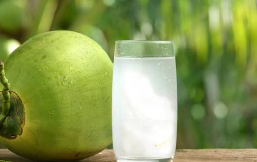 नारियल पानी: नारियल का पानी शरीर को डिटॉक्स करता है और आंतों को साफ करता है. बच्चों को दिन में 2 बार नारियल पानी पिलाने से शरीर से कीड़े बाहर निकलने में मदद मिलती है.