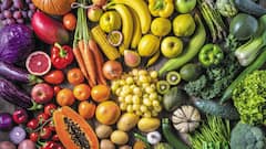 Govt Credits Farmers, NHM For India’s 3.66% Horticulture Growth In FY25