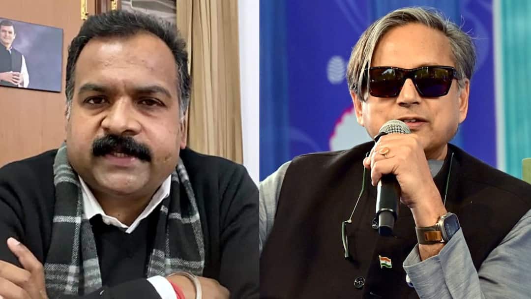 Congress Manickam Tagore reply shashi tharoor bird also afraid in sky Vultures eagles hunting mallikarjun kharge rahul gandhi 'आजाद चिड़िया को भी आसमान में डर रहता है', शशि थरूर पर बरसे अब ये कांग्रेस नेता