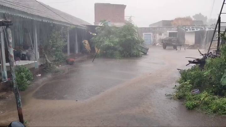 આ ઉપરાંત, સુરેન્દ્રનગર, રાજકોટ, બોટાદ, અમરેલી, ભાવનગર, જૂનાગઢ, પોરબંદર, ગીર સોમનાથ, મહેસાણા, સાબરકાંઠા, નવસારી અને વલસાડ જિલ્લાઓ માટે યલો એલર્ટ જાહેર કરવામાં આવ્યું છે, જ્યાં ભારે વરસાદની સંભાવના છે.