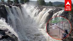 தருமபுரி: காவிரி ஆற்றில் வெள்ளப்பெருக்கு! ஒகேனக்கல்லில் குளிக்க, பரிசல் இயக்க தடை! அதிர்ச்சி தகவல்!