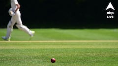 ICC Rule: ক্রিকেটের নিয়মে আসতে চলেছে বড়সড় পরিবর্তন! চিঠি পাঠিয়ে দিল আইসিসি