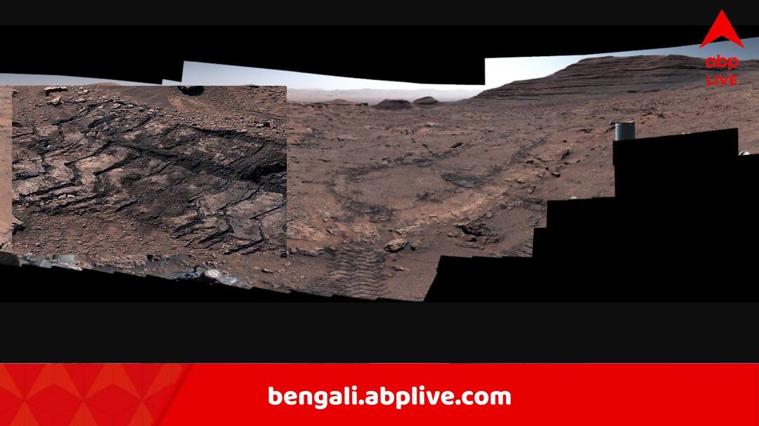 Spiderwebs on Mars: দাগ রেখে গিয়েছে ভূগর্ভস্থ জল, চাঁদের বুকে ‘মাকড়শার জাল’, ছবি দেখে হতবাক সকলে Spiderwebs on Mars found by Curiosity Rover NASA Explains what those are Close up photos released Spiderwebs on Mars: দাগ রেখে গিয়েছে ভূগর্ভস্থ জল, চাঁদের বুকে ‘মাকড়শার জাল’, ছবি দেখে হতবাক সকলে