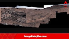 দাগ রেখে গিয়েছে ভূগর্ভস্থ জল, চাঁদের বুকে ‘মাকড়শার জাল’, ছবি দেখে হতবাক সকলে